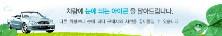 차량에 눈에 띄는 아이콘을 달아드립니다